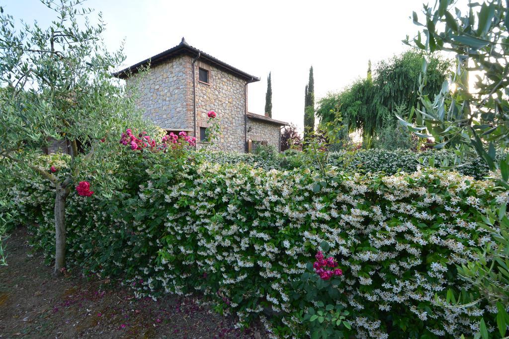 Agriturismo Dolce Verde Castiglione del Lago Exteriér fotografie