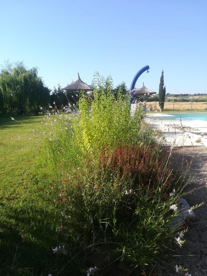 Agriturismo Dolce Verde Castiglione del Lago Exteriér fotografie